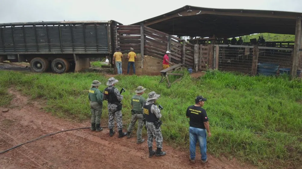 “Arrancados da própria história”: o drama das famílias no PDS Brasília, em Castelo dos Sonhos no Pará 
